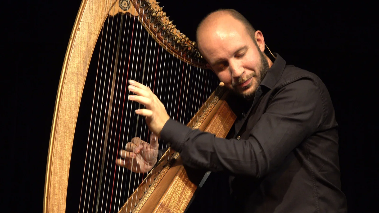 Adriano Sangineto all'arpa